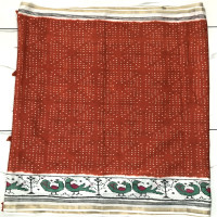 green-silk-patola-sarees-gsps03