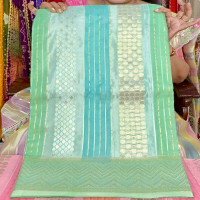 rangkat-tissue-saree-rgkts04