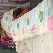 Munga Jamdhani sarees - MJS04