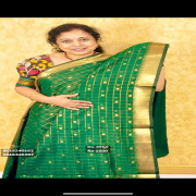 Nagari Silks Sarees:-14B