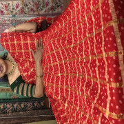 Bhandhini Gachola Checks Sarees - BGS01