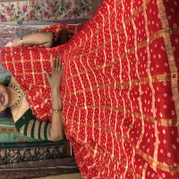 bhandhini-gachola-checks-sarees-bgs01