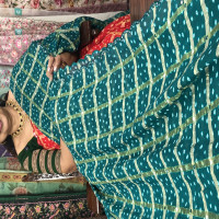 bhandhini-gachola-checks-sarees-bgs04