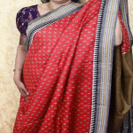 Pure Desi Tusser Vidarbha saree:T