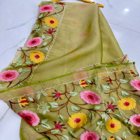 coctail-tissue-organza-sarees-ctos04