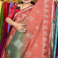 desi-puresilk-saree-dps02