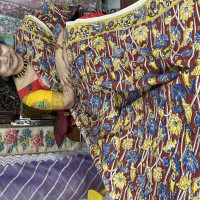 kalamkari-cotton-sarees-kcs01