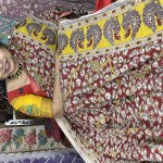 kalamkari-cotton-sarees-kcs14