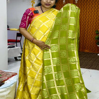bandhini-weaving-saree-bwb03