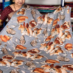 Mulberry Silk  Saree,No:-01