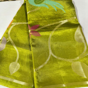 Budget Friendly Benaras saree-BFBS10