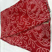 Modal silk Azhrakh Print saree-MODS02