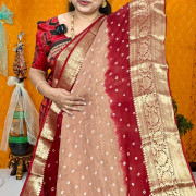 Bandhini Kanchi boarder saree-BKB04