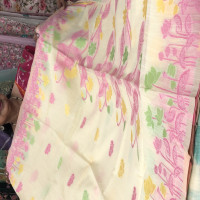 Munga Jamdhani sarees - MJS08