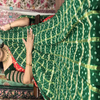 Bhandhini Gachola Checks Sarees - BGS02