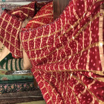 bhandhini-gachola-checks-sarees-bgs05