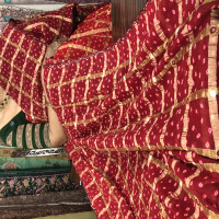 Bhandhini Gachola Checks Sarees - BGS05