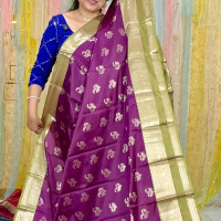 Benaras Khatan Silk Saree-BKS08