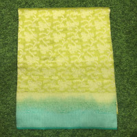 Weavers Offer Benarasi Saree-WBS01