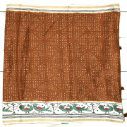 Green Silk Patola Sarees-GSPS04
