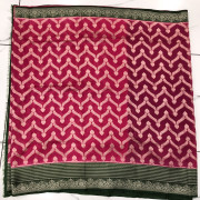 Tusser Georgettes Sarees-TGS02
