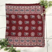 Model Silk Azhrakh With Mirror Work sarees-MAMS03