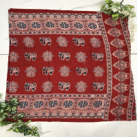 Model Silk Azhrakh With Mirror Work sarees-MAMS05