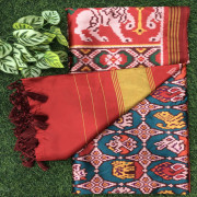 Weavers Sale Patola Sarees-SPS15